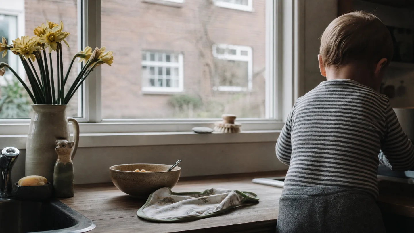 kitchen window, morning routine, cereal bowl